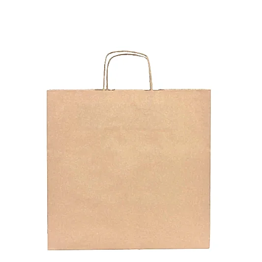 Kraft Kağıt Çanta - Burgu Saplı 27x20x31 cm