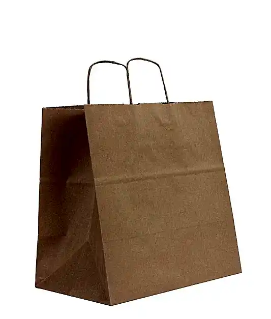 Kraft Kağıt Çanta - Burgu Saplı 27x20x31 cm